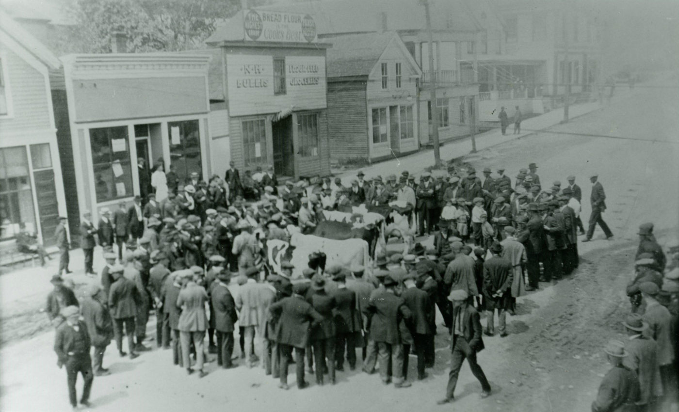 The Black and White Dairy Cattle Show in downtown Heuvelton