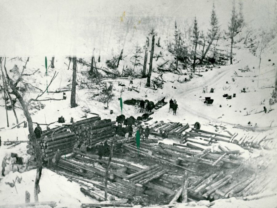 Logging camp loggers and families in Colton