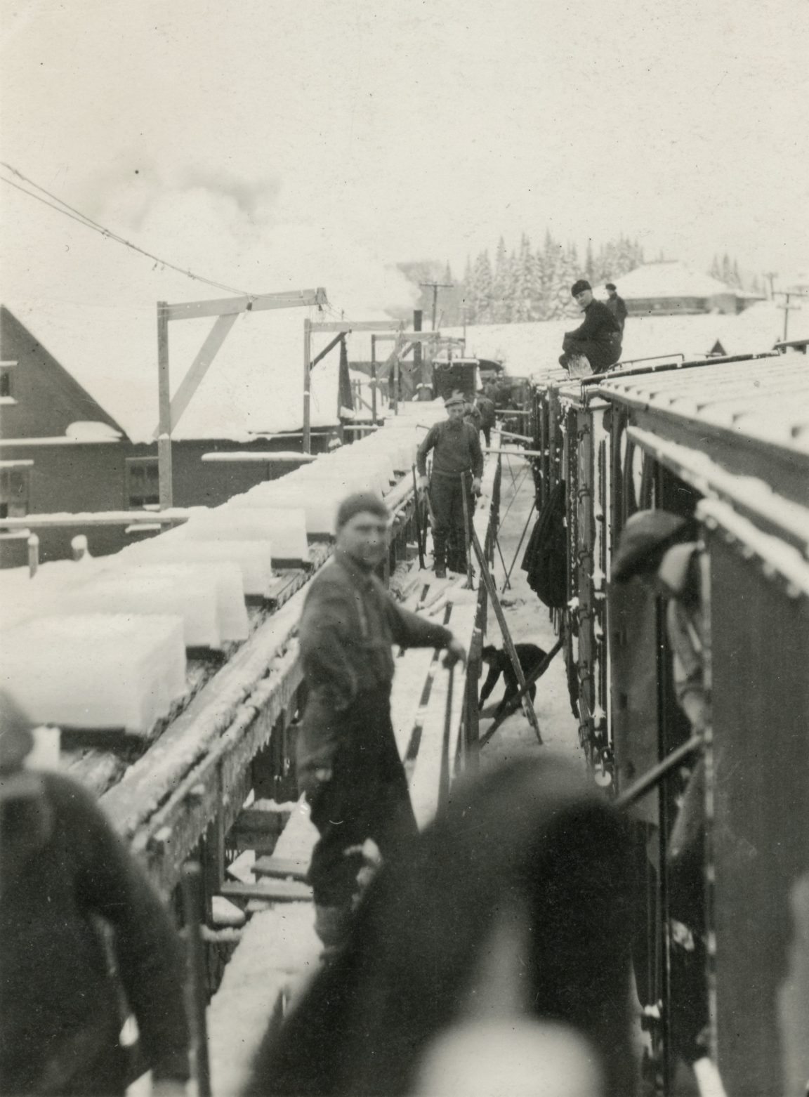 Filling boxcars with ice blocks in Old Forge