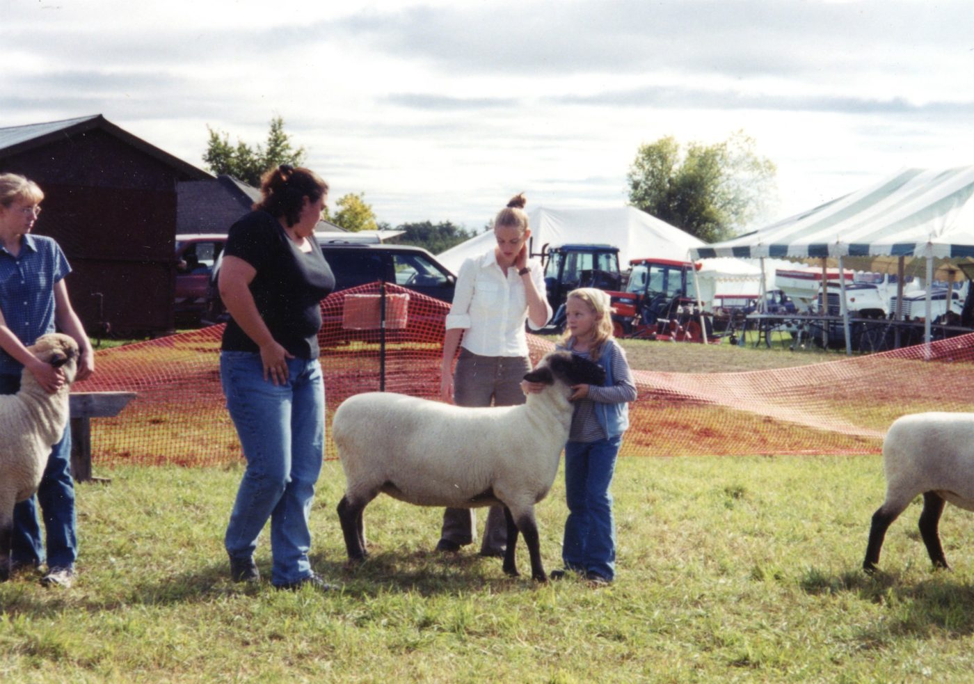 Judging sheep at the Hammond Fair in Hammond