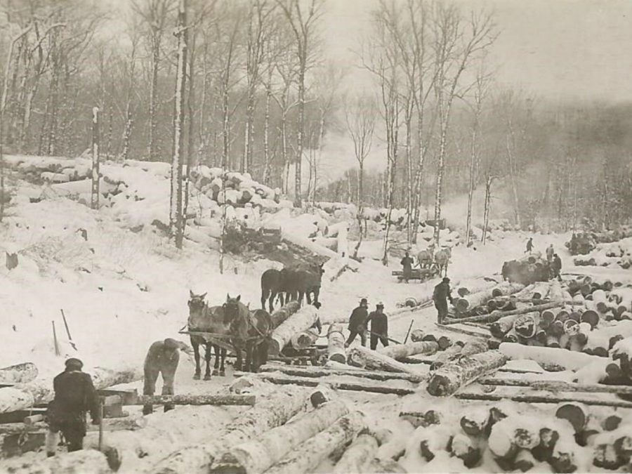 A Model Lumber Camp in the Adirondacks