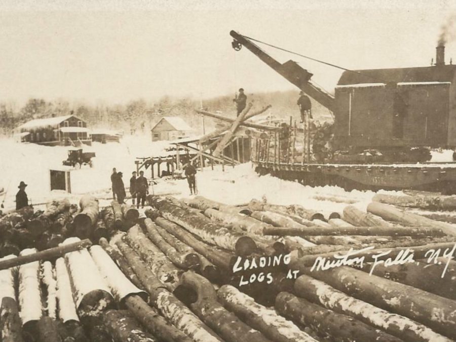 Barnhart Loader moving logs at Chair Rock Bay in Cranberry