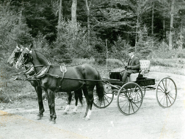 Two horses pull buggy